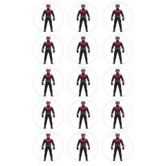 Papel de azúcar de Ant-Man (Marvel) - 5 cm (15) - María Lunarillos
