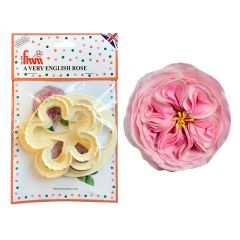 Cortadores tappit flor rosa inglesa (3) - FMM