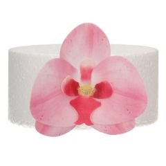 Flores de oblea orquídeas rosas 7 cm (10) - Funcakes