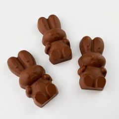 Set de moldes para chocolate 5 conejos de Pascua