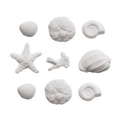 Conchas de mar de azúcar (9) - Decora