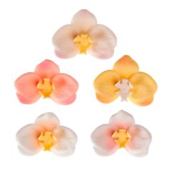 Flores de azúcar orquídeas 7 cm (6) - Sin gluten - Dekora