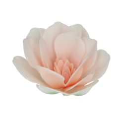 Flores de oblea magnolias blancas y rosas 6 cm (6) - Funcakes