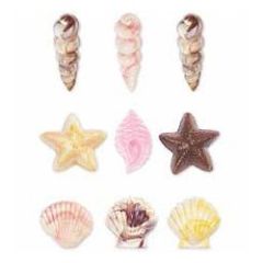 Molde conchas marinas para candy melts - Wilton